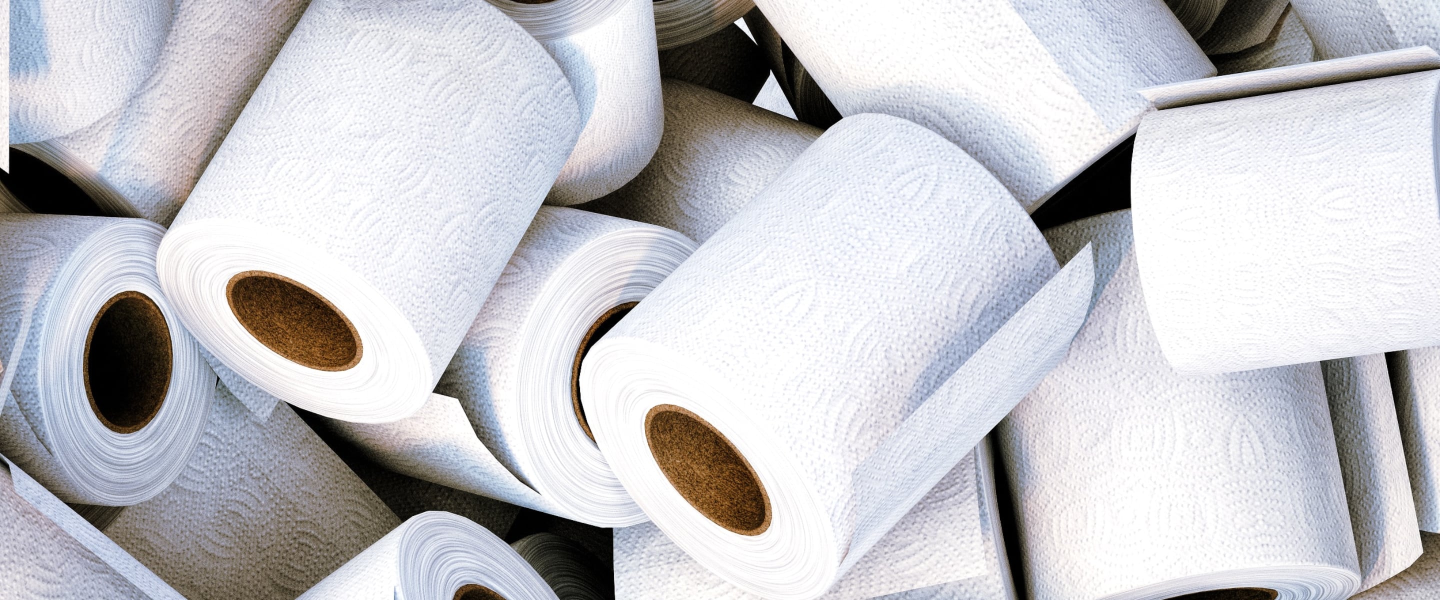 3 Fun Ways to Celebrate National Toilet Paper Day 2023
